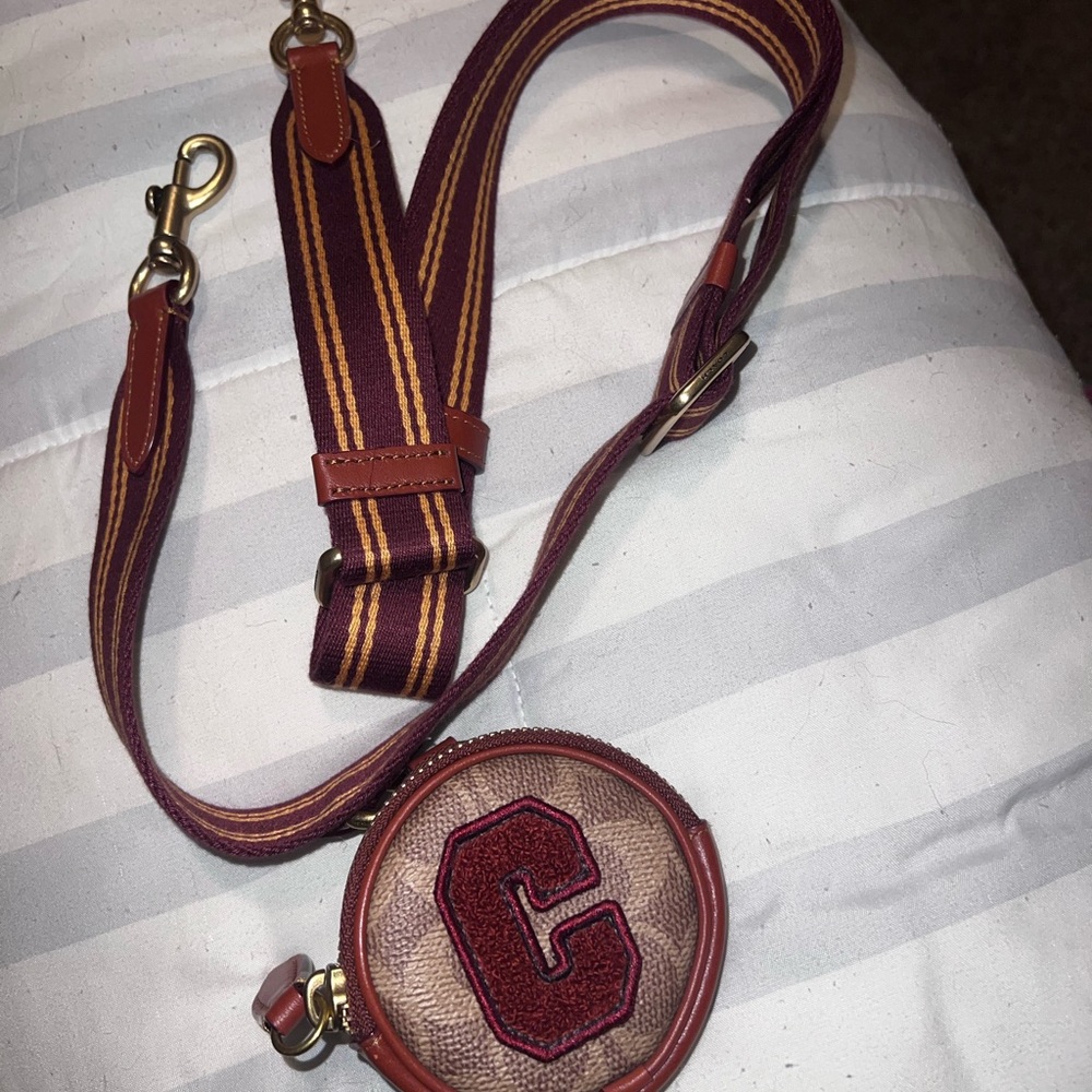 Coach bag strap